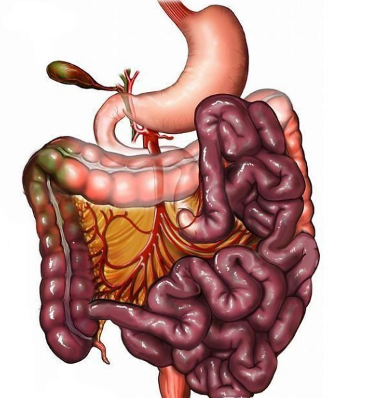 腸息肉者，排便出現3個(gè)異常，十有八九息肉已變成“癌”
